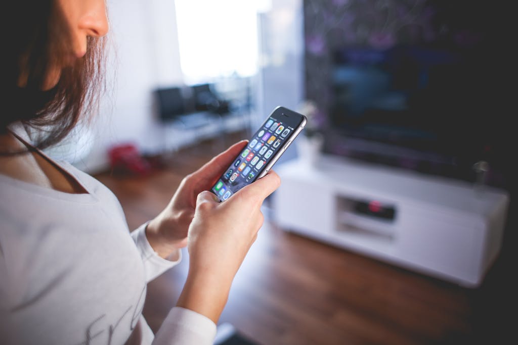 Smart Home User